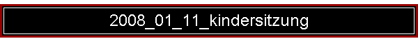 2008_01_11_kindersitzung